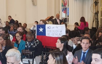 Destacada participación de AEL en la Organización de los Estados Americanos