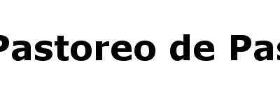 Boletín Quincenal N° 20 Discipulado y Pastoreo de Pastores (DPP)