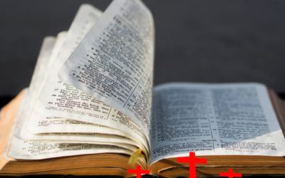 Martin Lutero: “Yo no he hecho nada, la Palabra de Dios lo ha hecho todo” A 504 años de la Reforma Protestante